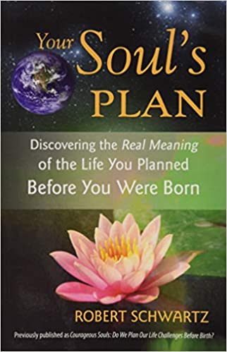 Your Soul’s Plan: Discovering the Real Meaning of the Life You Planned Before You Were Born