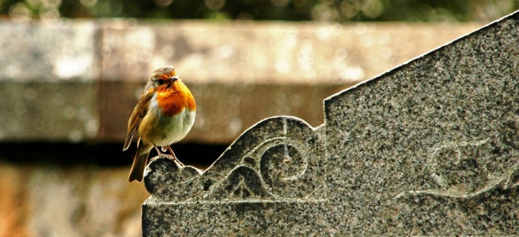 Music In the Cemetery