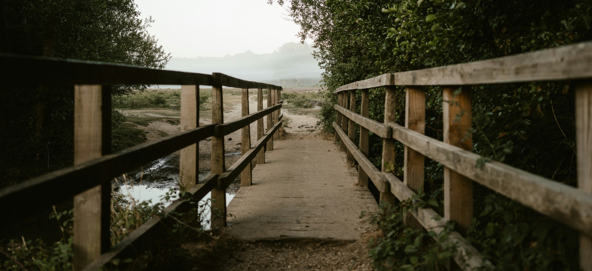 Becoming Friends with Grief: An Unexpected Journey