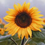5 Years Later: Healing After My Son's Suicide