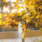 A Personal Message to Survivors of Suicide Loss This Thanksgiving