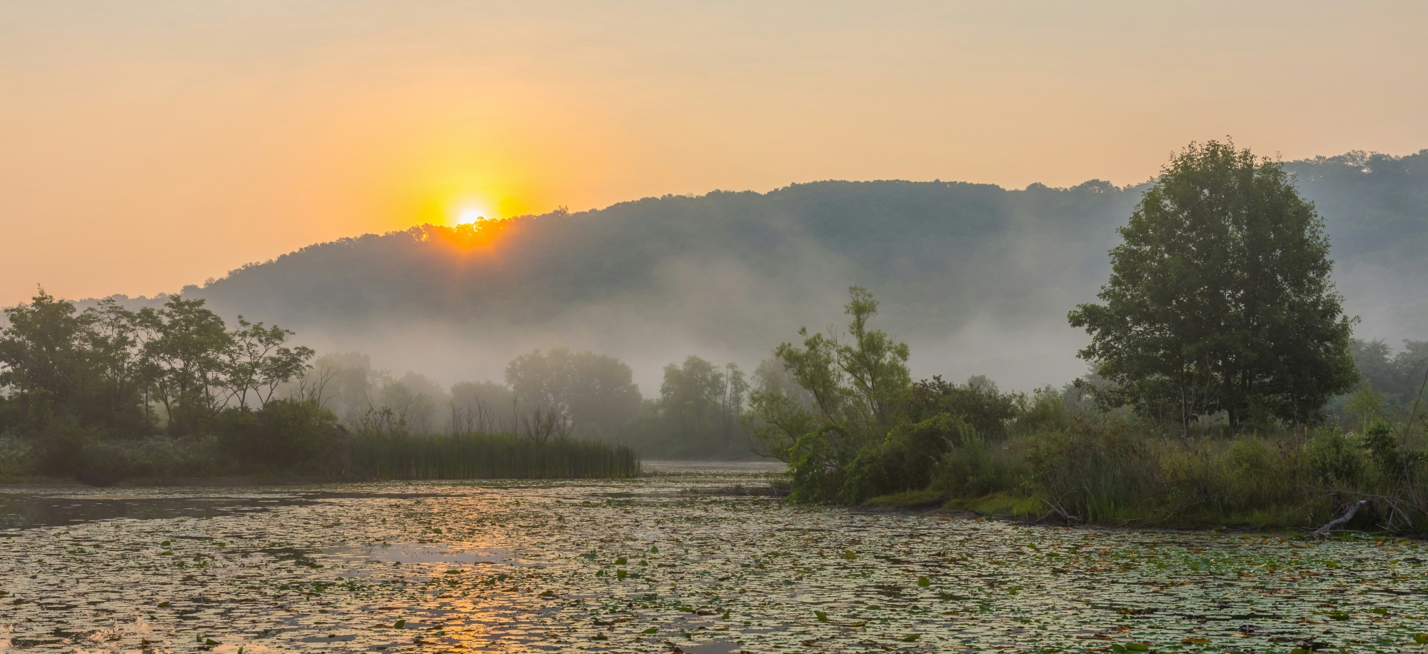 Navigating the Grief Journey: A Guide to Healing for Survivors