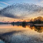 I Will Call Us a Blessing